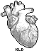 real heart, light mode suggested